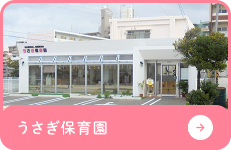 bnrhalf_usagi