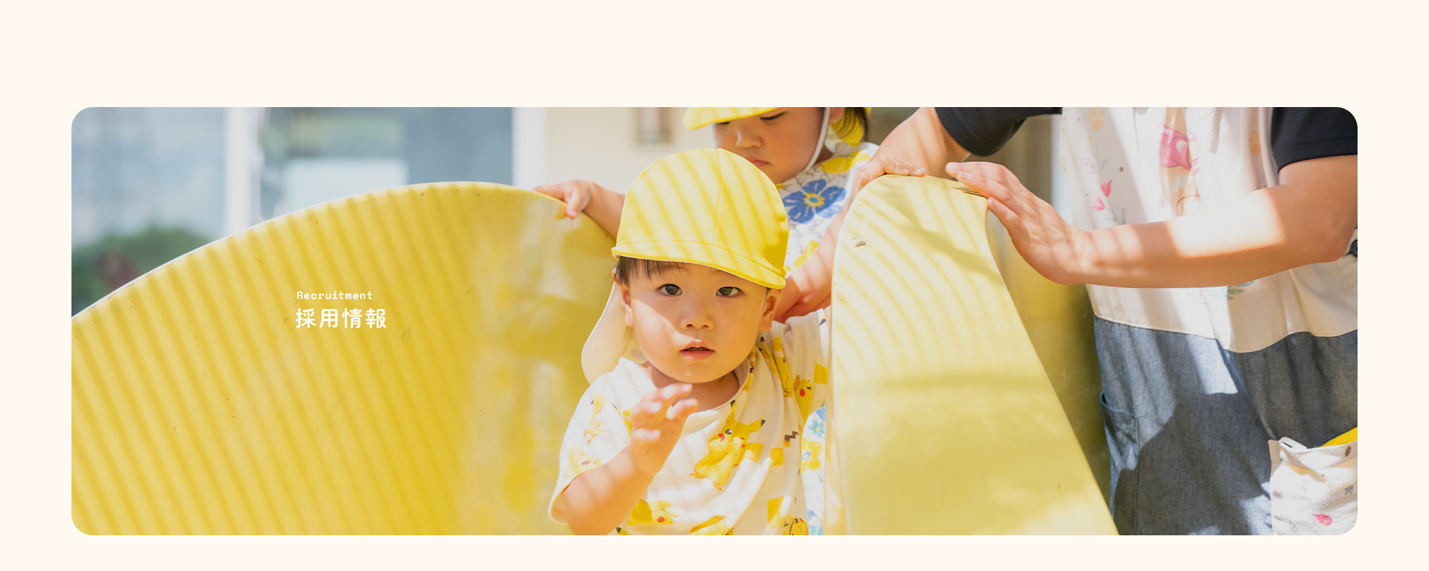 採用情報
